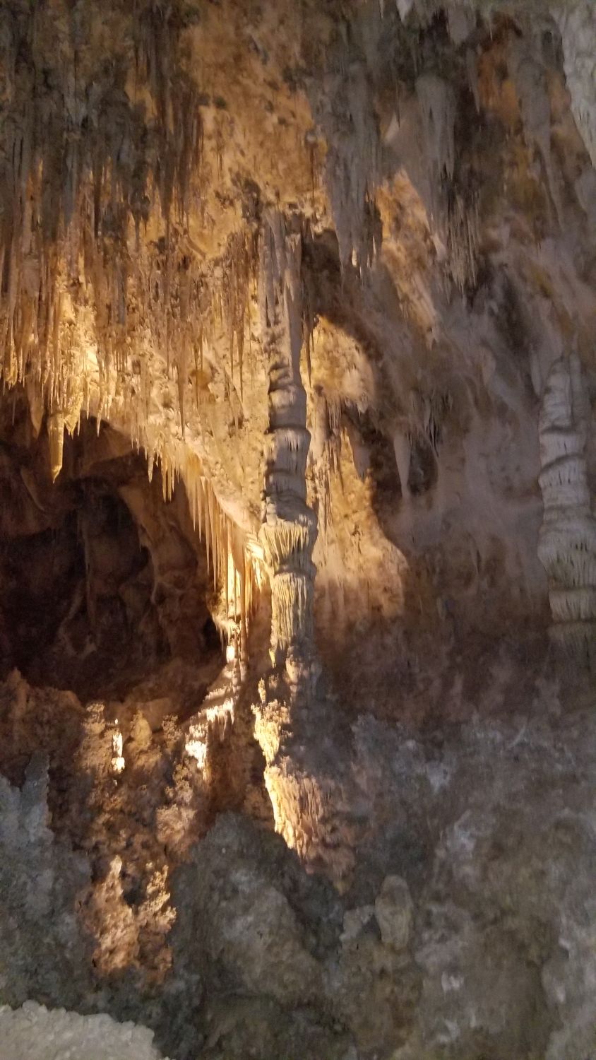 Carlsbad Caverns 